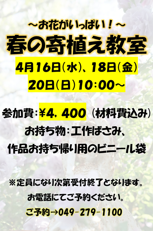 春の寄植え教室